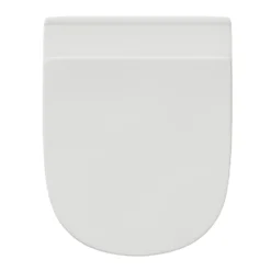 Harbour Identity Rimless Back to Wall Toilet & Soft Close Seat