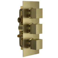 Harbour Status Brushed Brass 2 Outlet Thermostatic Concealed Shower Valve (Three Handle)