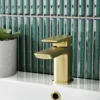 Harbour Status Mini Basin Mixer Tap & Waste - Brushed Brass