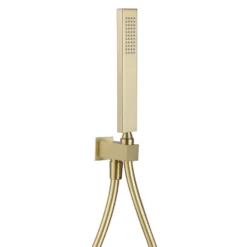 Harbour Status Square Shower Handset with Wall Outlet & Hose - Brushed Brass