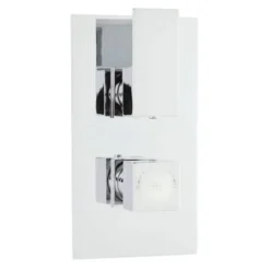 Hudson Reed Art Twin Concealed Thermostatic Shower Valve & Diverter