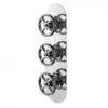 Hudson Reed Revolution Industrial 2 Outlet Concealed Thermostatic Shower Valve