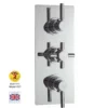 Hudson Reed Tec Pura Plus 2 Outlet Concealed Thermostatic Shower Valve