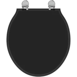 Ideal Standard Waverly Black Toilet Seat