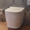 Imex Liberty Rimless Wall Hung Toilet and Soft Close Seat