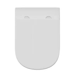 Lorraine Rimless Back To Wall Toilet & Soft Close Seat