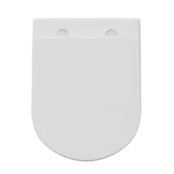 Lydia Rimless Back to Wall Toilet & Soft Close Seat