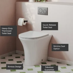 Lydia Rimless Back to Wall Toilet & Soft Close Seat