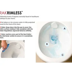 RAK Resort Back to Wall Rimless Toilet with Soft Close Seat
