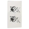 Sagittarius Avant 2 Outlet Concealed Thermostatic Shower Valve