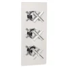 Sagittarius Avant 3 Outlet Concealed Thermostatic Shower Valve
