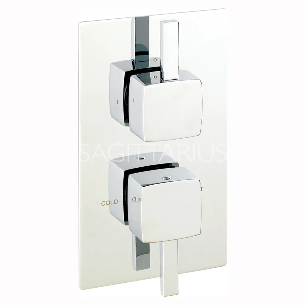 Sagittarius Axis 2 Outlet Concealed Thermostatic Shower Valve