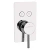 Sagittarius Ergo Lever 2 Outlet Concealed Thermostatic Push Button Shower Valve