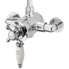 Sagittarius Fantasy Exposed Thermostatic Shower Valve