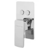 Sagittarius Ravenna 2 Outlet Concealed Thermostatic Push Button Shower Valve