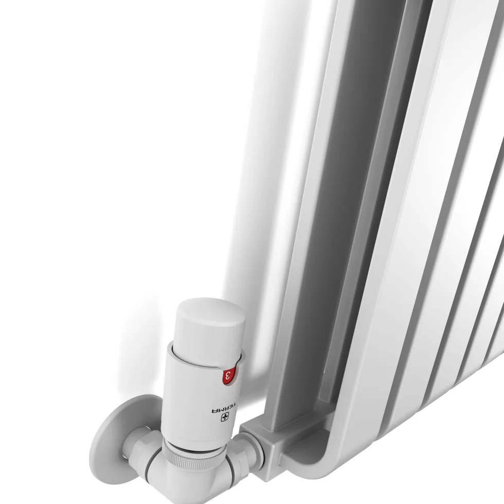 Terma Warp Room Double Panel Horizontal Radiator