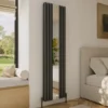 Toasty Echo Anthracite Grey Oval Double Panel Vertical Mirror Radiator - 1800 x 500mm