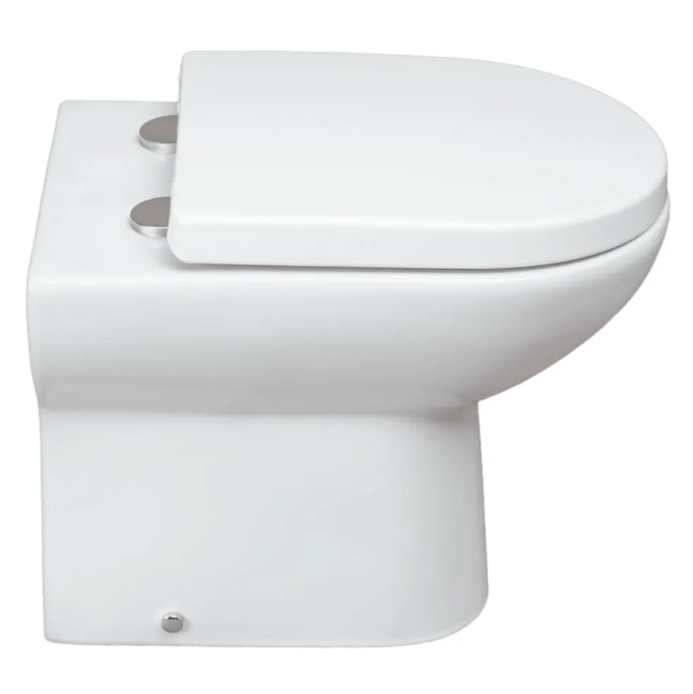 Vellamo Modern D-Shaped Back to Wall Toilet with Soft Close Seat