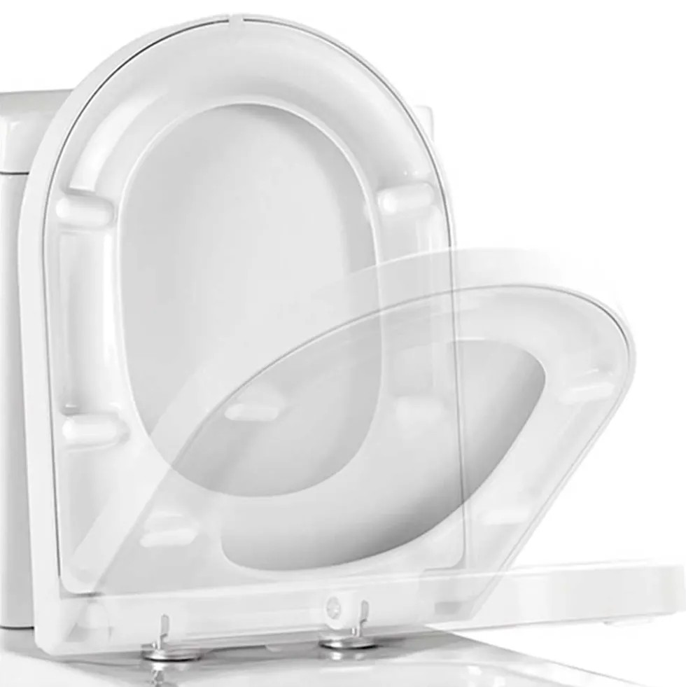 Vellamo Modern D-Shaped Comfort Height Back to Wall Toilet with Soft Close Seat